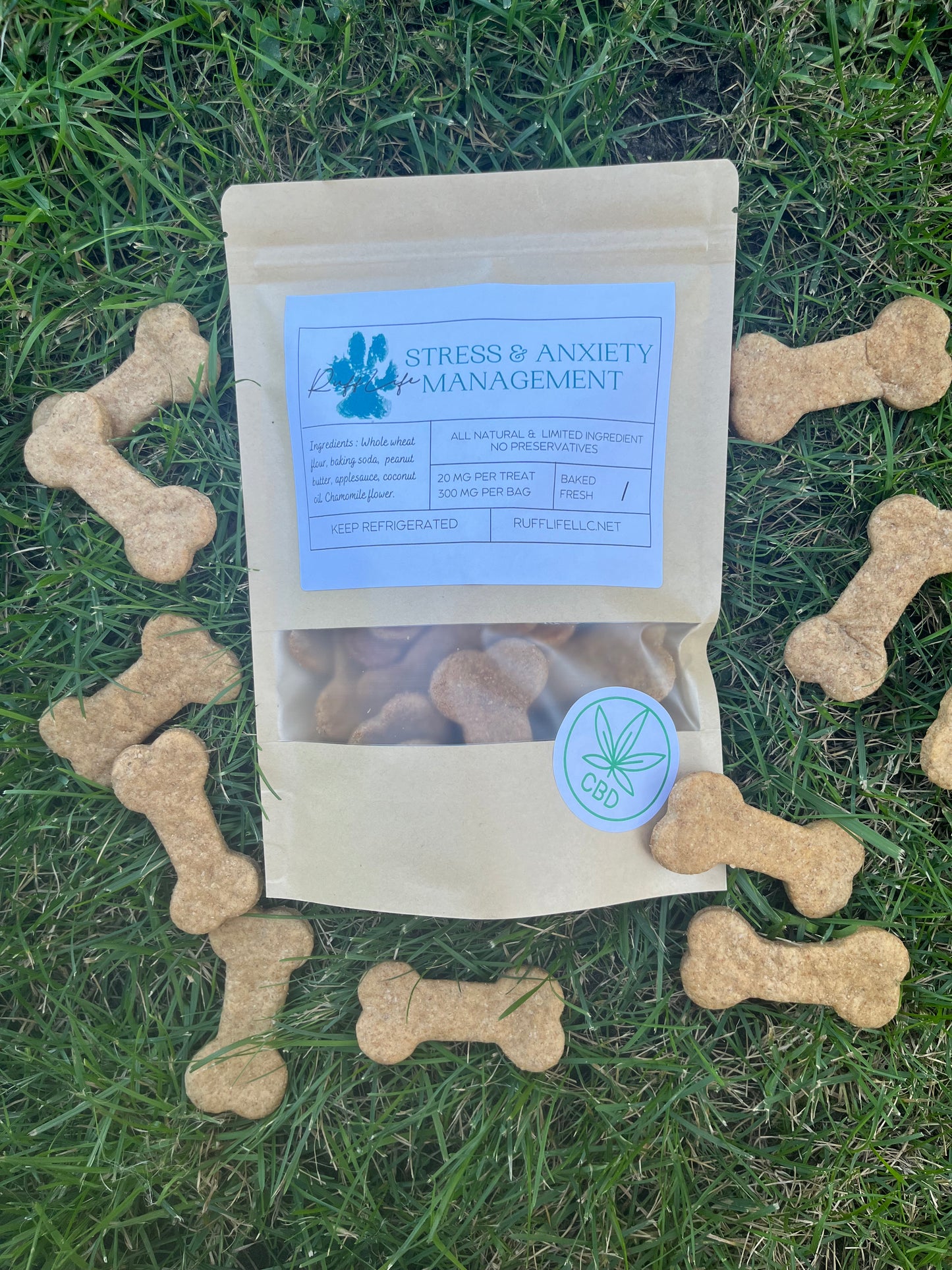 Stress & Anxiety Management