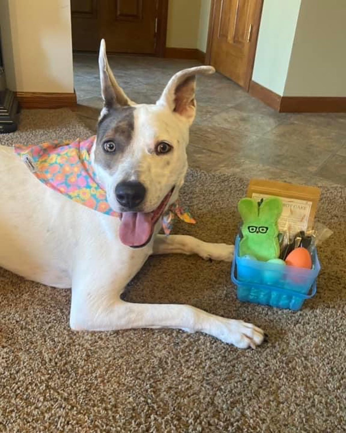 Easter Basket